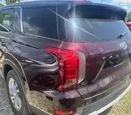 2021 Hyundai Palisade Back